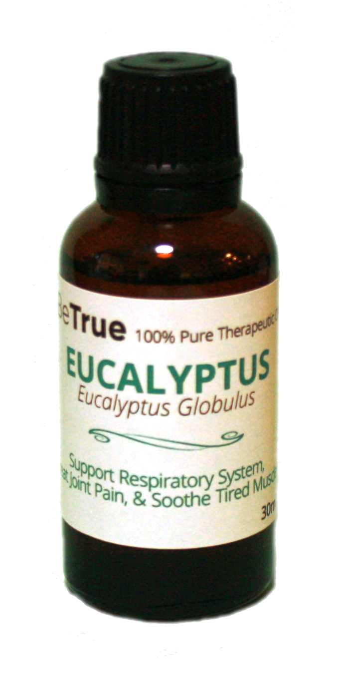 Eucalyptus