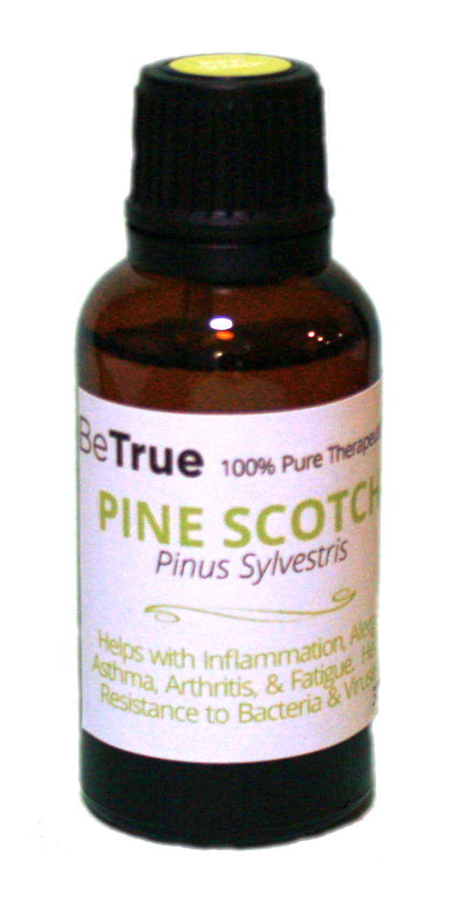 Pine Scotch