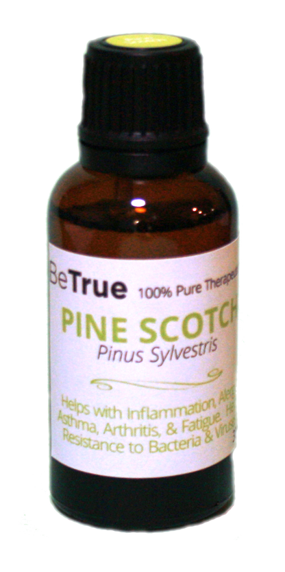 Pine Scotch